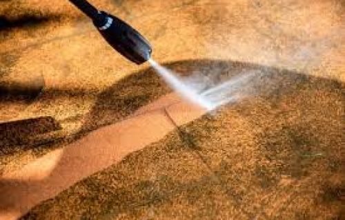 Paving & Pathways Cleaning Paving & Pathways Cleaning